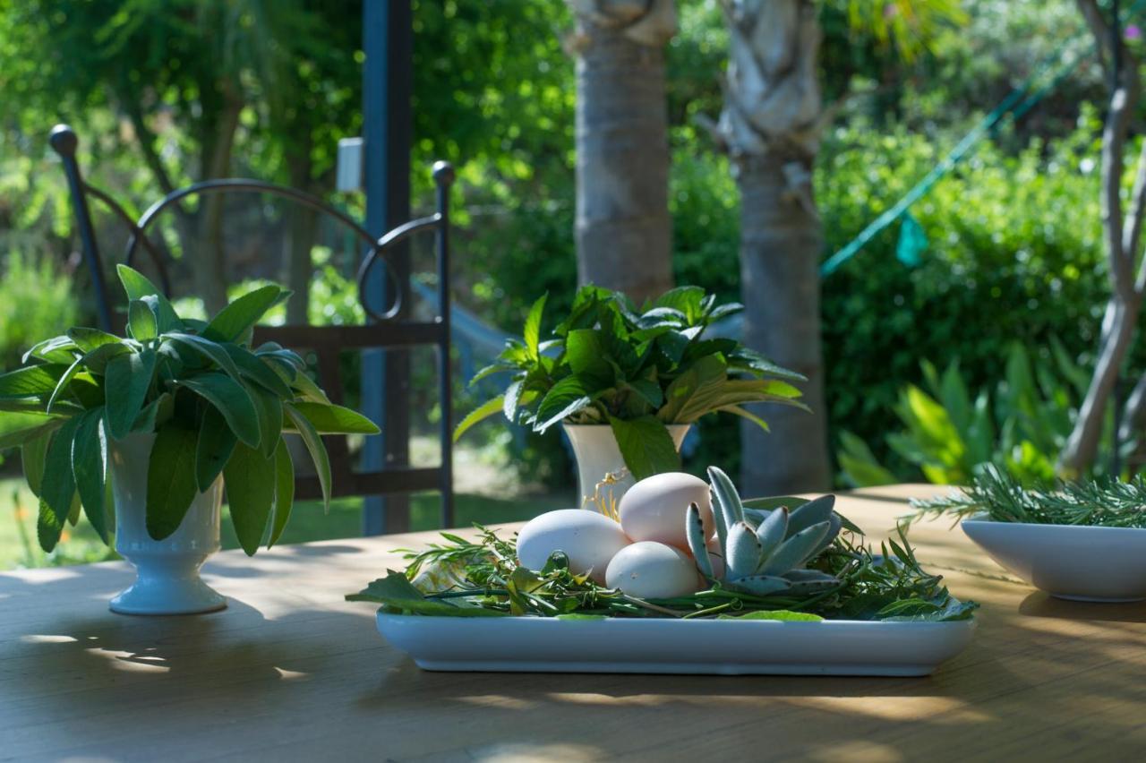 Вилла House With Garden And Sea View Ла-Лонд-ле-Мор Экстерьер фото