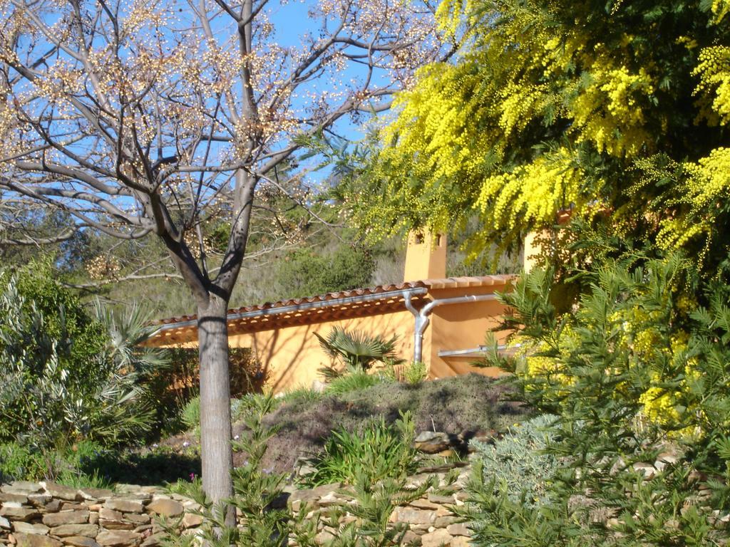 Вилла House With Garden And Sea View Ла-Лонд-ле-Мор Номер фото